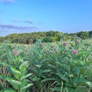 Meet your Posher, Knitgifts31